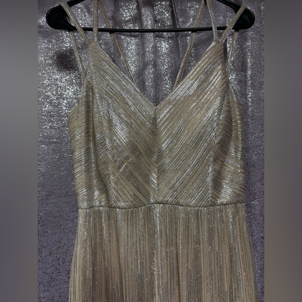 Elegant Silver/Gold Evening Dress